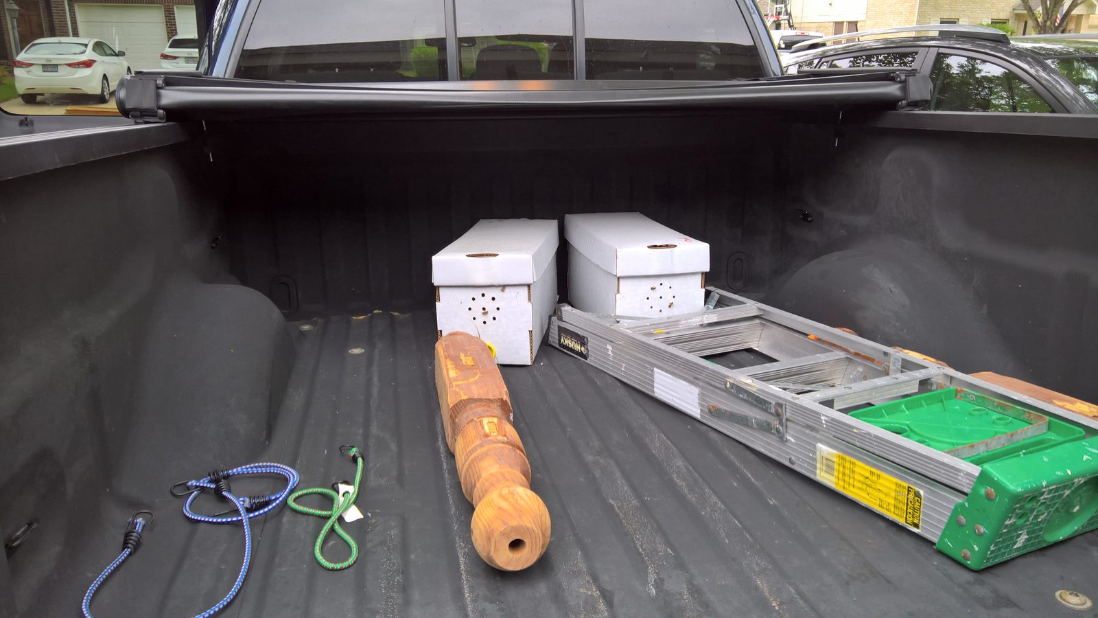 Yard Photos & First Nucs Video